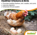 SeaBuck 7 Chicken & Bird Supplement with Sea Buckthorn, 32 Ounces