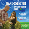 Small Pet Select Orchard Grass Hay Pet Food for Rabbits, Guinea Pigs, Chinchillas and Other Small Animals, Premium Natur