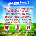 Pet Factory American Beefhide 12" Knotted Bone Dog Chew Treat - Natural Flavor, 1 Count/1 Pack