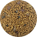 Berries & Bugs 3 lb. - All Natural High Protein High Fiber Insectivore Diet with Fruit, Gut-Loaded Insects, & Healthy Vi