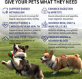 Vitamin B for Dogs, 200 Tablets, Vitamin B Complex Contains B12, B1, B2, B3, B5, B6, B7, B9 Supports Energy, Appetite, Digestive, Skin, Coat, Neurological Health, Suitable for Cats and Dogs(1 Bottle)
