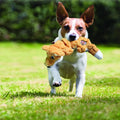 KONG Scrunch Knots (Squirrel, Medium/Large) Plush Dog Toy with Knotted Rope