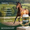 Horse Joint Supplement Powder, Glucosamine, Chondroitin & MSM
