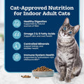 Blue Buffalo Tastefuls Adult Indoor Dry Cat Food, Chicken & Brown Rice, 3-lb Bag