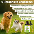 Natural Yeast Infection Itch Relief for Dogs and Cats | Itchy Skin, Ear & Allergy Symptoms Treatment | Reduces Inflammat