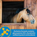 Farnam Fluidflex Glucosamine Joint Supplement for Horses, 32 oz., 32 Day Supply