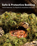 Sphagnum Moss for Reptiles & Plants, 3.5 OZ Terrarium Moss Bedding