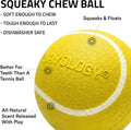 Playology Squeaky Chew Ball Dog Toy - Jumbo, Chicken Scent