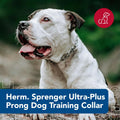 Herm SPRENGER Ultra-Plus Prong Dog Training Collar, 3.0 mm x 18" Neck Size, 3.0 mm x 22" Chain Length, Steel Chrome Plat