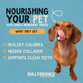 Bully & Bones 6 Inch Cow Ear Rolls (12 Pack) for Dogs. Collagen and Protein Rich, Healthy Single-Ingredient Beef chew Tr