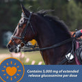 Farnam MaxFlex XR Extended Release Joint Supplement for Horses, Provides a continuous supply of joint health ingredients