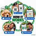 Easy Scan QR Code Pet ID Tag for Dogs & Cats