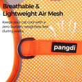 Cat Harness and Leash Set, No Over-the-Head Cat Vest, Orange, M