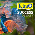 Tetra Ick Guard Conditioning Remedy for Fish, 8 Count