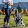 Kurgo Go Stuff It Dog Treat Bag, Training Treat Pouch Bag for Dogs, Treat Pouches for Pets, Hands-Free Pouch Waist, Refl