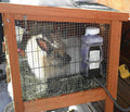 Farm Innovators Heated Water Bottle for Rabbits, 20-Watt, 32oz Capacity