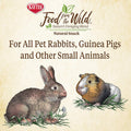 Kaytee Food from the Wild Natural Snack for Rabbits & Guinea Pigs, 1 Oz