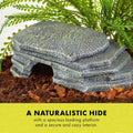 Zilla Herp Hotel Naturalistic Hide, Bearded Dragon Basking Platform
