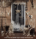 Crazy Bonez Cute Skeleton Cat