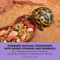 Zilla Pet Reptile Herbivore Food Medley Diet, 4 Oz