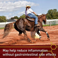 Vita Flex Pro Equinyl Combo Joint Horse Joint Supplement, 60-Day Supply