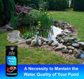 JNW Direct Pond Water Test Kit for Ponds - 7 in 1 Test Strips [50 Pack]