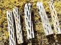 Natural Cholla Wood, Choya Air Plant, Untreated Beautiful Driftwood, Aquarium Decor, Betta Fish, Plecos, Shrimp, Minnows