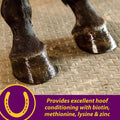 Horse Health Joint Combo Hoof & Coat, Glucosamin, Chrondroitin, Vitamin C, MSM, Biotin, Lysine, ZInc, Omega 3 and 6 Fatt