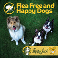 Happy Jack Flea and Tick Powder for Dogs & Puppies, Odorless, 5 oz