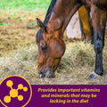 Farnam Horse Health Red Cell, Liquid Vitamin-Iron-Mineral Supplement for Horses, Helps Fill Important Nutritional Gaps i