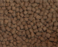 Wysong Ferret Epigen 90 Digestive Support - Dry Ferret Food - 5 Pound Bag(Pack of 1)