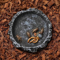 2Pcs Reptile Water Bowl, Feeding Dish for Leopard Gecko Lizard