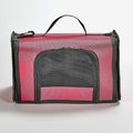 Kaytee Come Along Medium Carrier, Small Pet Carrier for Guinea Pigs