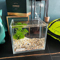 AWXZOM Small Nano Tall Rimless Tank, Glass Fish Tank, Betta Tank (0.7 Gallon, 5.9x4.3x5.1in/15x11x13cm)
