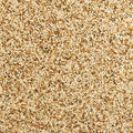 Wild Harvest Daily Blend Nutrition Diet for Parakeet, Canary and Finch 10 Pounds, Orange flavour