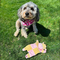 SPOT Soothers Crinkle Paper Dog Toy - 13in Stuffing-Free Calming Plush with Crinkle, Lavender Scent & Squeaker, Anxiety 
