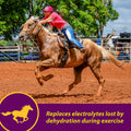 Farnam Horse Health Apple-Dex Apple Flavored Electrolytes Powder for Horses, 30 pounds