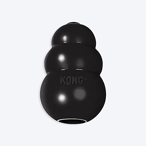 KONG Classic Dog Toy