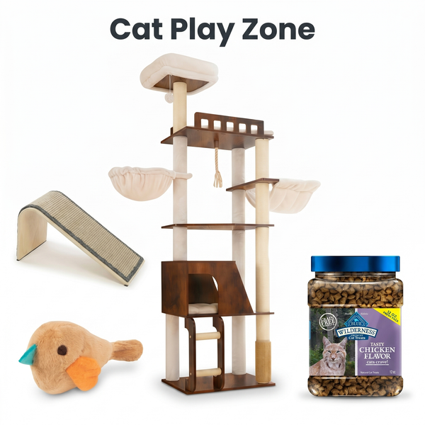 Cat Play Zone