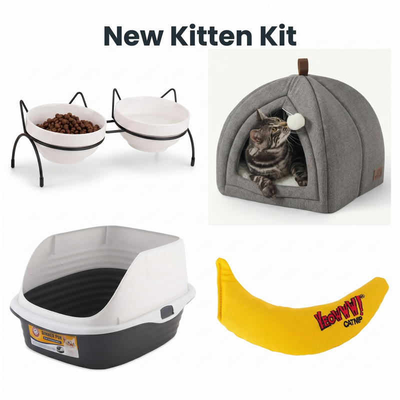 New Kitten Kit bundle