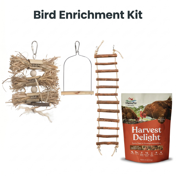 Bird Enrichment Kit