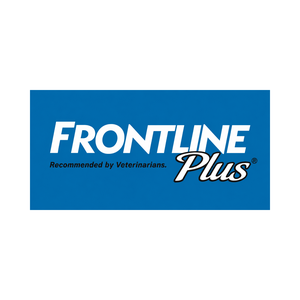 Frontline